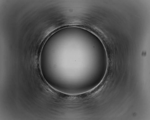 X0000100861457200806201205