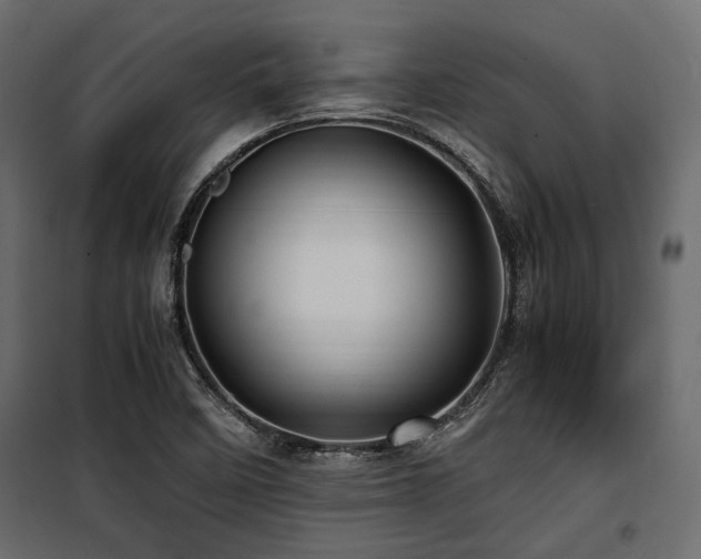 X0000100861458200806201205