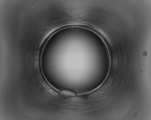 X0000100861460200806201205