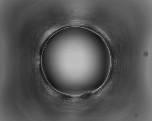 X0000100861461200806201205