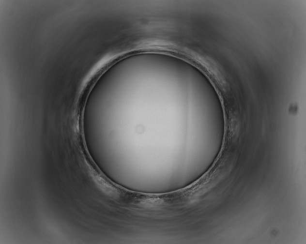 X0000100861462200806201205