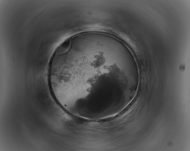 X0000100861463200806201205