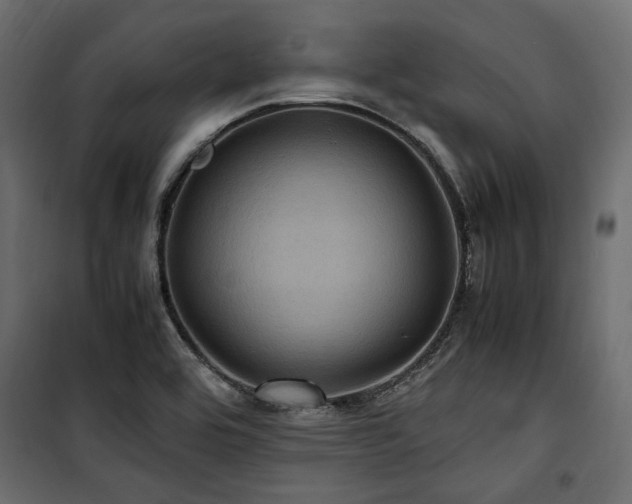 X0000100861464200806201205