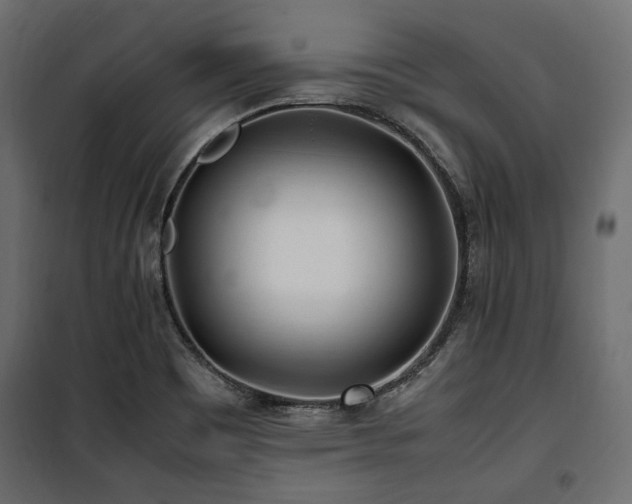 X0000100861465200806201205