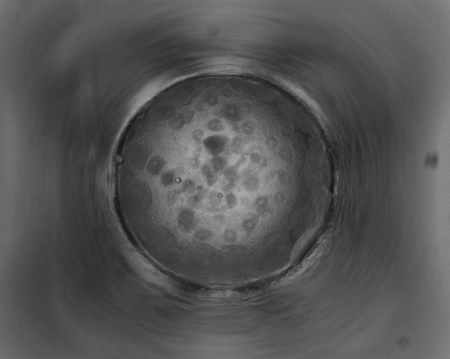 X0000100861467200806201205