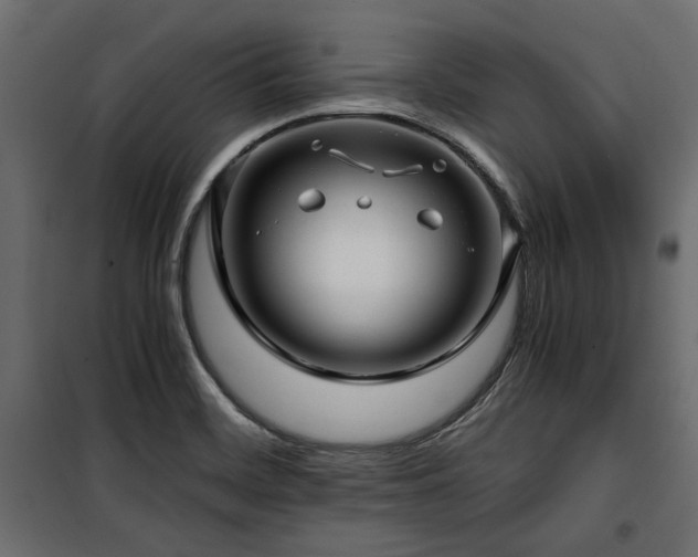 X0000100861468200806201205