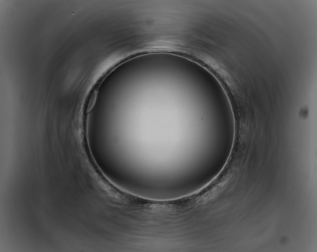 X0000100861469200806201205