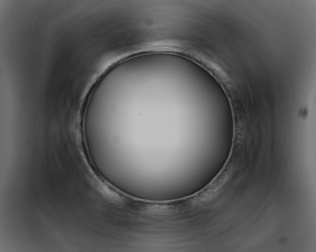 X0000100861470200806201205