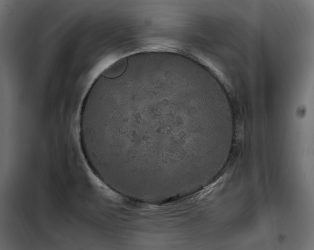 X0000100861471200806201205