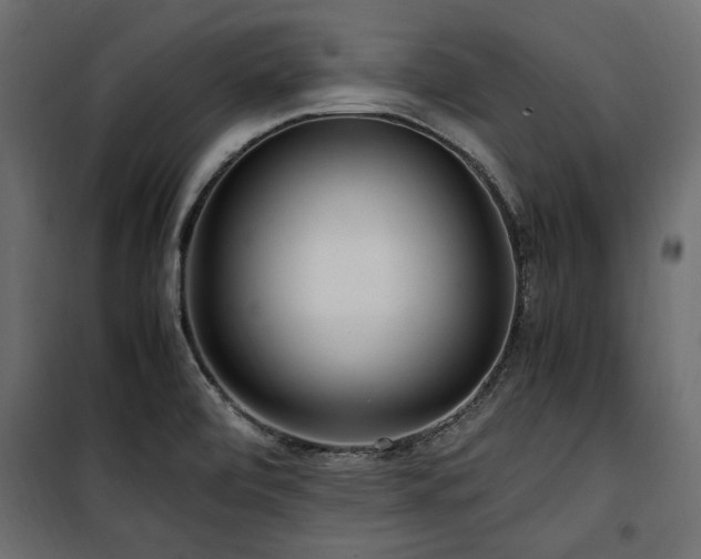 X0000100861472200806201205