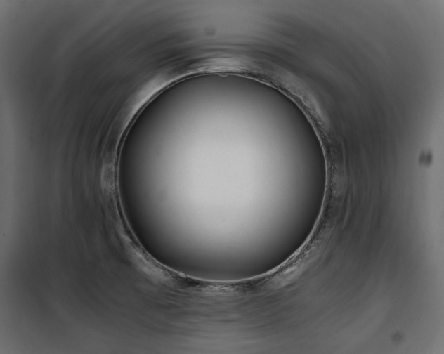 X0000100861473200806201205