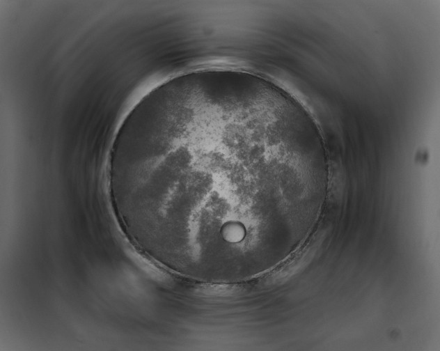 X0000100861474200806201205