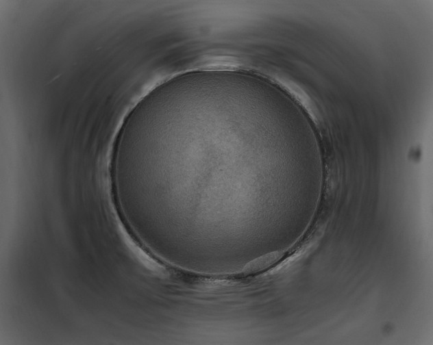 X0000100861475200806201205