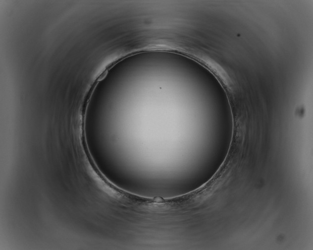 X0000100861476200806201205