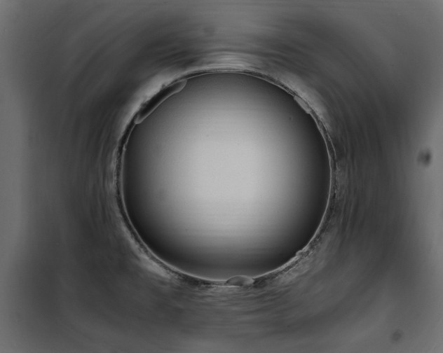 X0000100861477200806201205