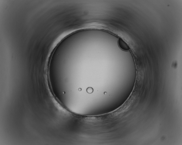 X0000100861478200806201205