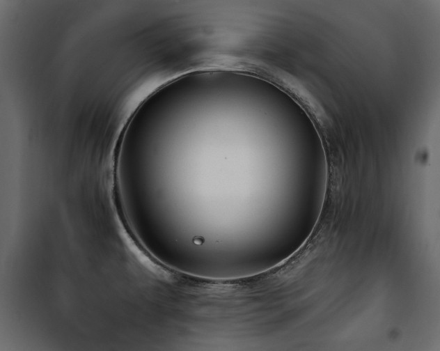 X0000100861479200806201205