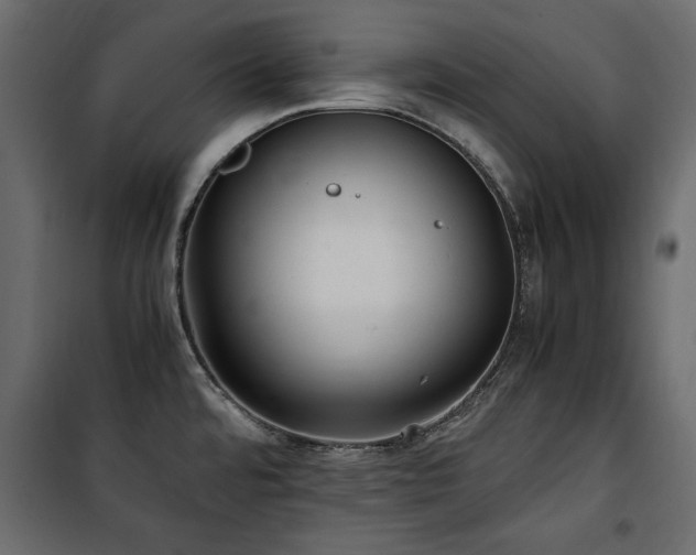 X0000100861480200806201205