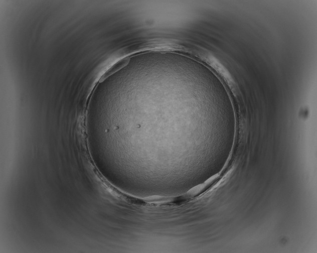 X0000100861481200806201205