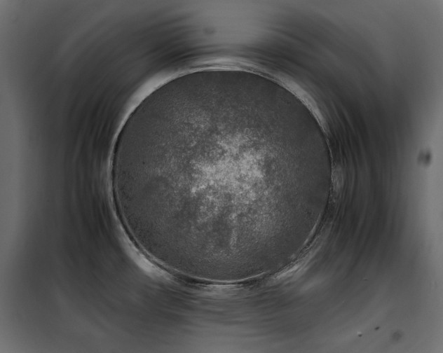 X0000100861482200806201205