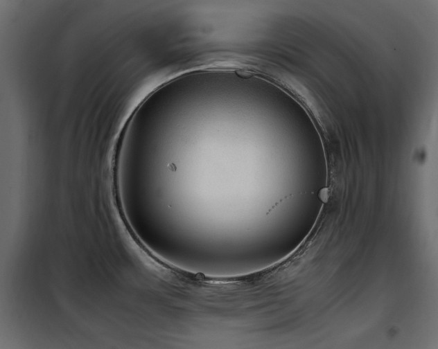 X0000100861483200806201205