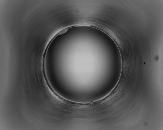 X0000100861484200806201205