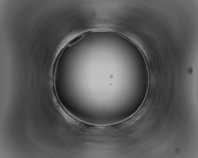 X0000100861485200806201205