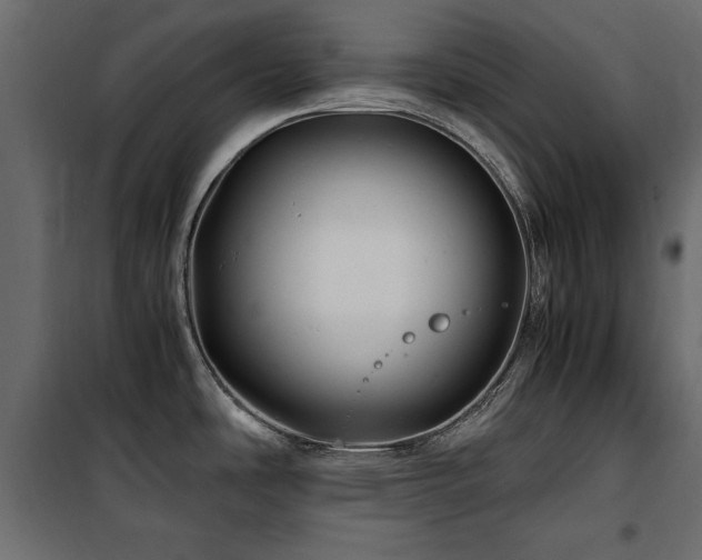 X0000100861486200806201205