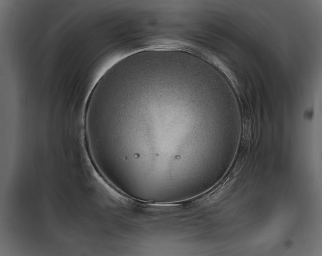 X0000100861487200806201205