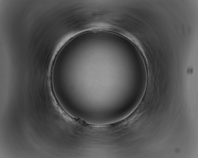 X0000100861488200806201205