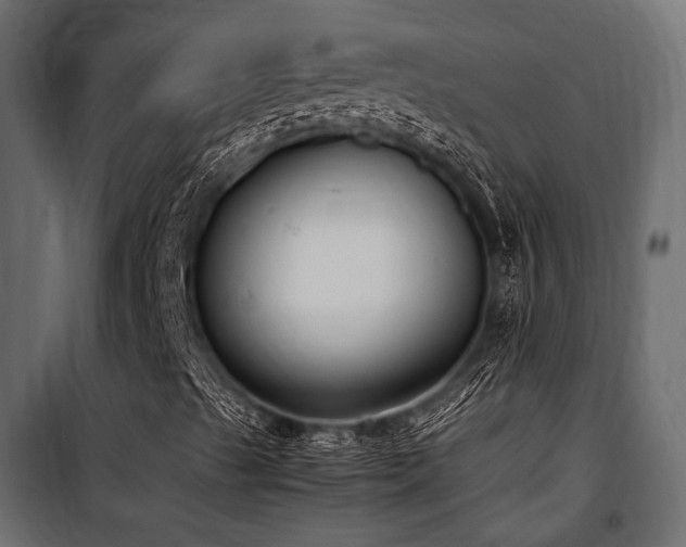 X0000100861489200806201204