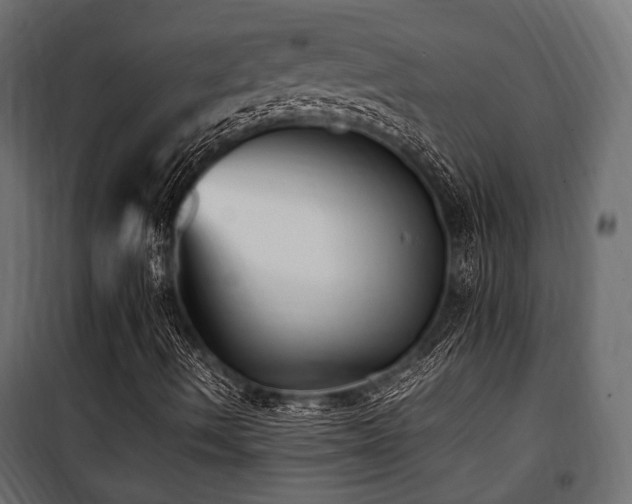 X0000100861490200806201204