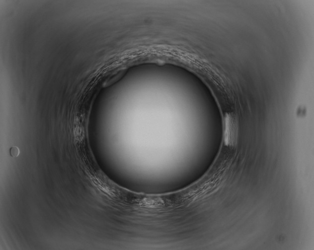 X0000100861491200806201204