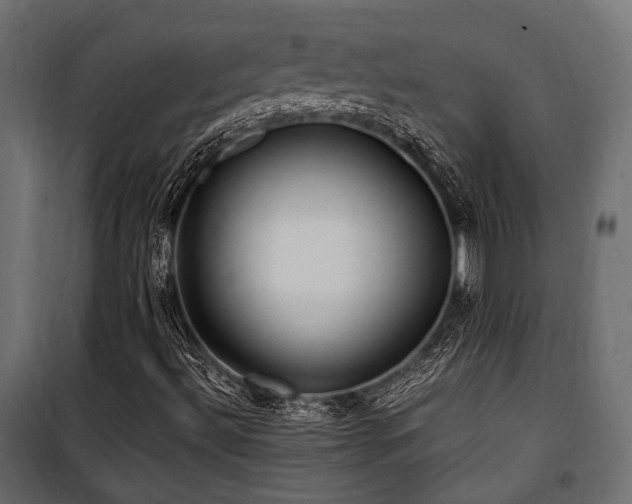 X0000100861492200806201204