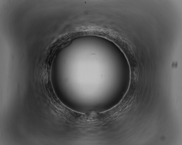 X0000100861493200806201204