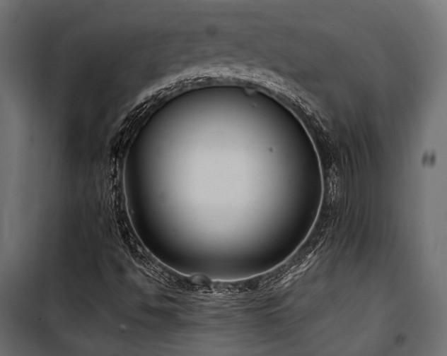 X0000100861494200806201204