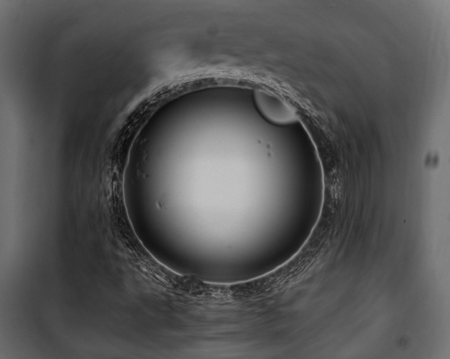 X0000100861495200806201204