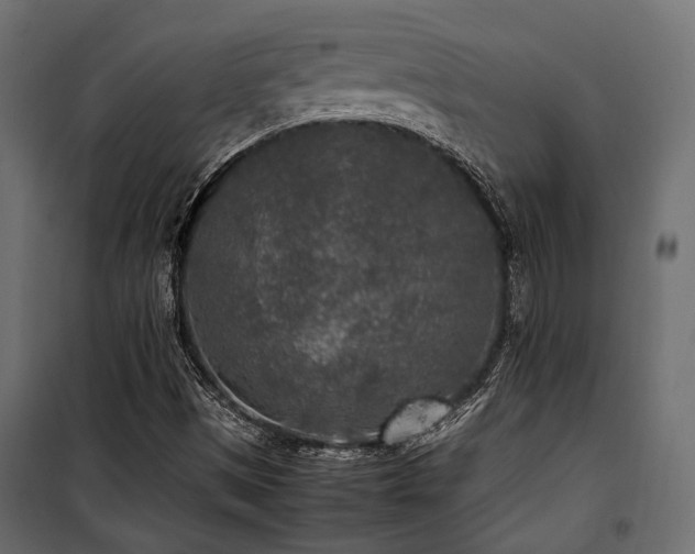 X0000100861497200806201204