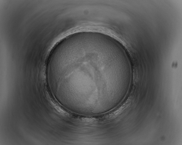 X0000100861498200806201204