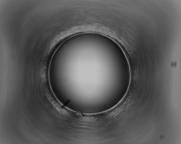 X0000100861499200806201204