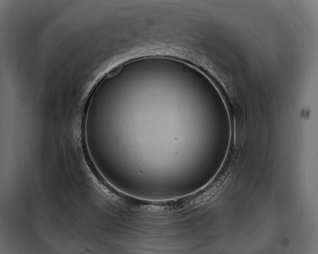 X0000100861500200806201204