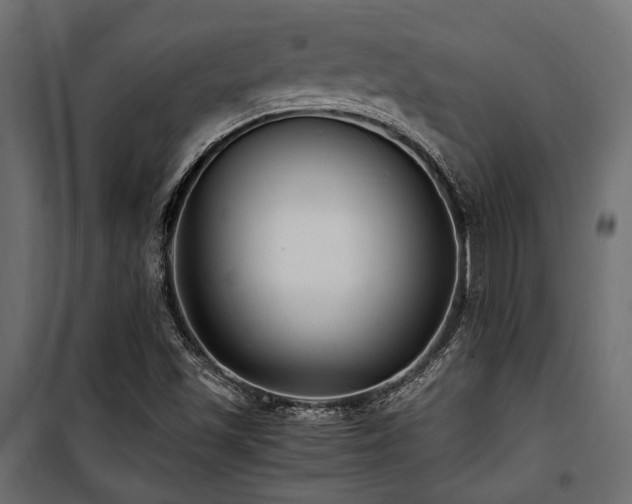 X0000100861501200806201204