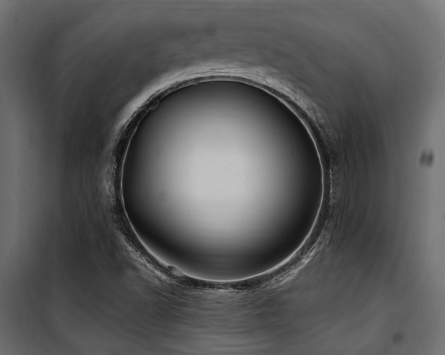 X0000100861502200806201204