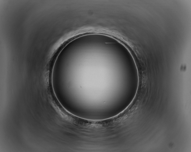 X0000100861503200806201204