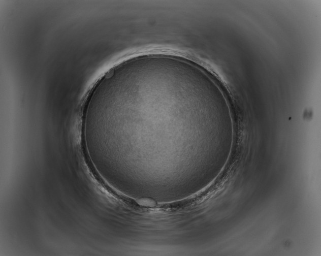 X0000100861504200806201204