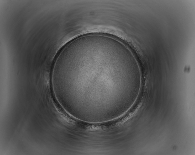 X0000100861505200806201204