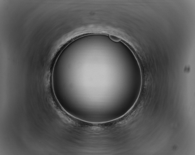 X0000100861507200806201204