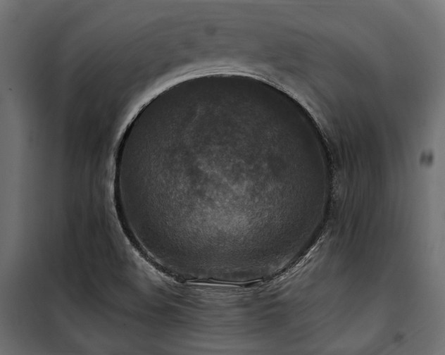 X0000100861508200806201204