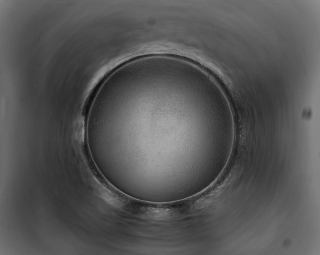 X0000100861509200806201204