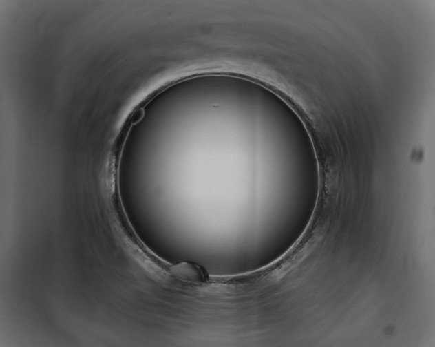 X0000100861510200806201204